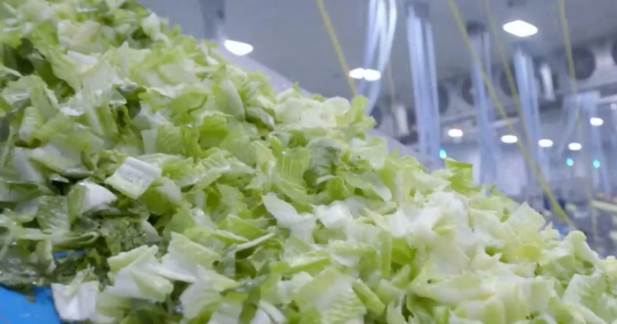 Taylor Farms supostamente fechou instalação de processamento mexicana ligada ao surto de ciclospora